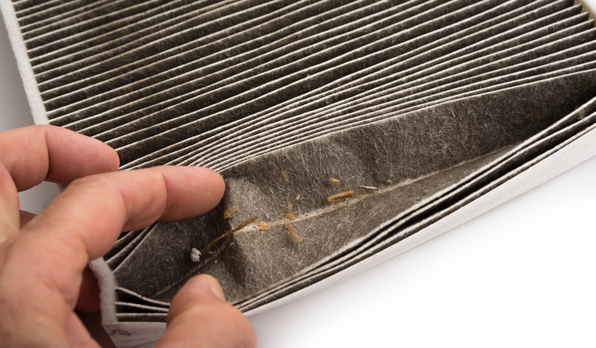 How To Check Your Car’s Cabin Air Filter